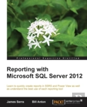 Reporting With Microsoft Sql Server 2012
