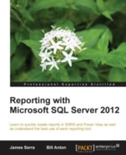 Bertrand.pt - Reporting With Microsoft Sql Server 2012