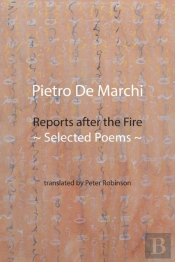 Reports After The Fire