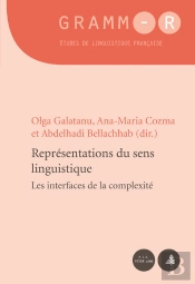 Représentations Du Sens Linguistique
