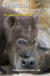 Reproduction In Mammals