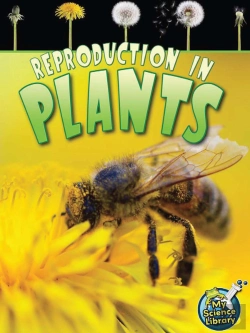 Bertrand.pt - Reproduction In Plants
