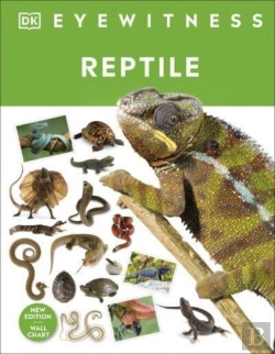 Bertrand.pt - Reptile