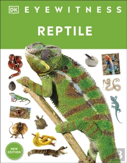 Bertrand.pt - Reptile