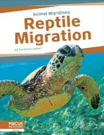 Reptile Migration