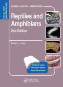 Reptiles And Amphibians