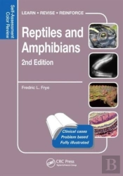 Reptiles And Amphibians