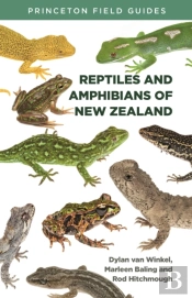Reptiles And Amphibians Of New Zealand