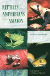 Reptiles And Amphibians Of The Amazon