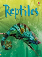 Reptiles
