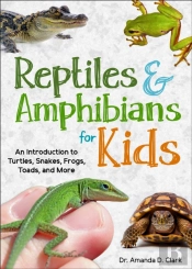 Reptiles & Amphibians For Kids
