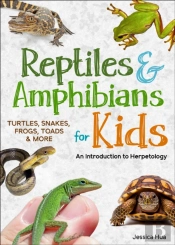 Reptiles & Amphibians For Kids