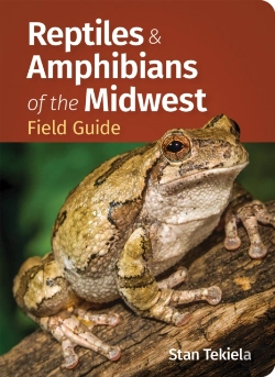Bertrand.pt - Reptiles & Amphibians Of The Midwest Field Guide