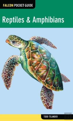 Bertrand.pt - Reptiles & Amphibians