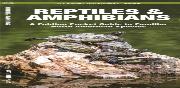 Reptiles & Amphibians
