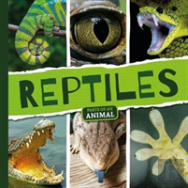 Reptiles