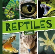 Reptiles