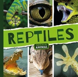 Bertrand.pt - Reptiles
