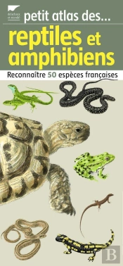 Reptiles Et Amphibiens (Petit Atlas Des.