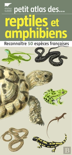 Bertrand.pt - Reptiles Et Amphibiens (Petit Atlas Des.