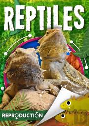 Reptiles