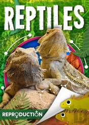 Reptiles