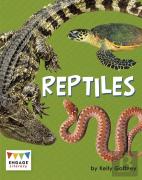 Reptiles