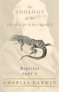 Reptiles - Part V - The Zoology Of The Voyage Of H.M.S Beagle