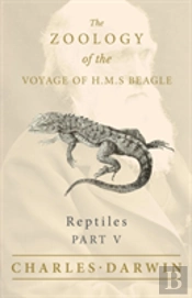 Reptiles - Part V - The Zoology Of The Voyage Of H.M.S Beagle