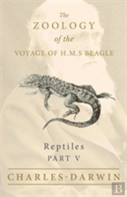 Bertrand.pt - Reptiles - Part V - The Zoology Of The Voyage Of H.M.S Beagle
