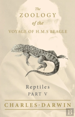 Bertrand.pt - Reptiles - Part V - The Zoology Of The Voyage Of H.M.S Beagle