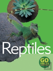 Reptiles