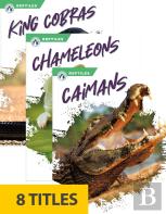 Reptiles (Set Of 8)