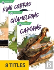 Reptiles (Set Of 8)
