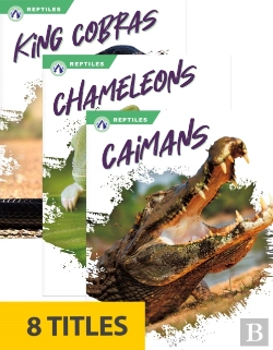 Bertrand.pt - Reptiles (Set Of 8)