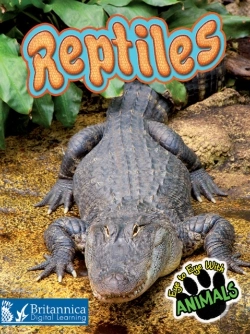 Bertrand.pt - Reptiles