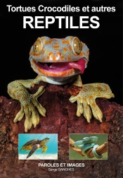 Reptiles : Tortues, Crocodiles Et Autres