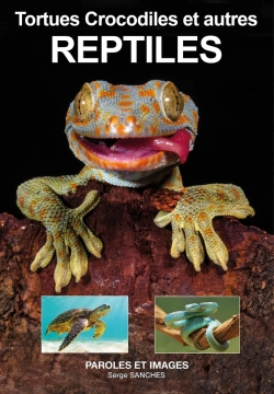 Bertrand.pt - Reptiles : Tortues, Crocodiles Et Autres