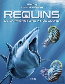 Bertrand.pt - Requins ; De La Préhistoire À Nos Jours
