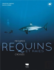 Requins Et Raies : Regards Croisés