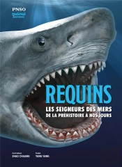 Requins : Les Seigneurs Des Mers De La Préhistoire À Nos Jours