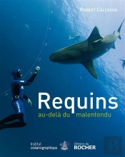 Requins
