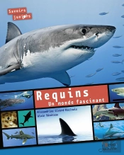 Requins ; Un Monde Fascinant