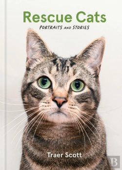 Bertrand.pt - Rescue Cats