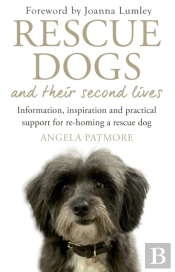 Rescue Dogs And Their Second Lives