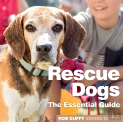 Bertrand.pt - Rescue Dogs The Essential Guide