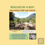 Rescued By A Boy