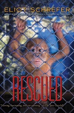 Bertrand.pt - Rescued