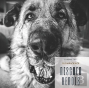 Rescued Heroes