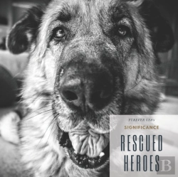 Bertrand.pt - Rescued Heroes